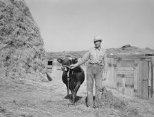 Mr. Botner with bull which he owns..., Nyssa Heights, Malheur County, Oregon, 1939. Creator: Dorothea Lange