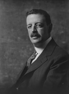 Mr. Boardman, portrait photograph, 1918 Apr. 10. Creator: Arnold Genthe