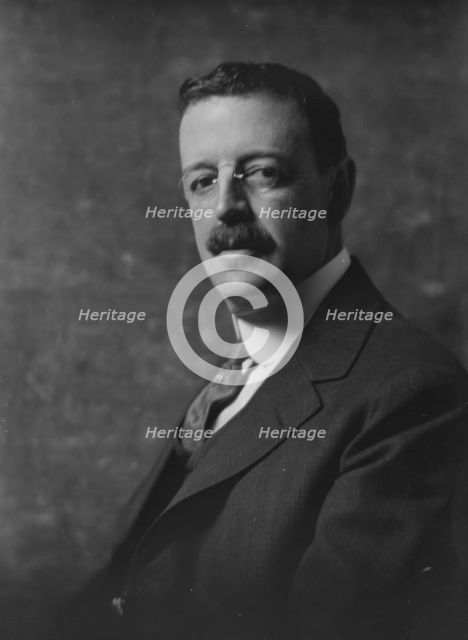 Mr. Boardman, portrait photograph, 1918 Apr. 10. Creator: Arnold Genthe.
