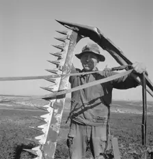 Mr. Browning in his field getting ready to mow hay, Dead Ox Flat, Malheur County, Oregon, 1939. Creator: Dorothea Lange