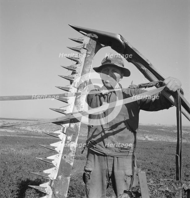 Mr. Browning in his field getting ready to mow hay, Dead Ox Flat, Malheur County, Oregon, 1939. Creator: Dorothea Lange.