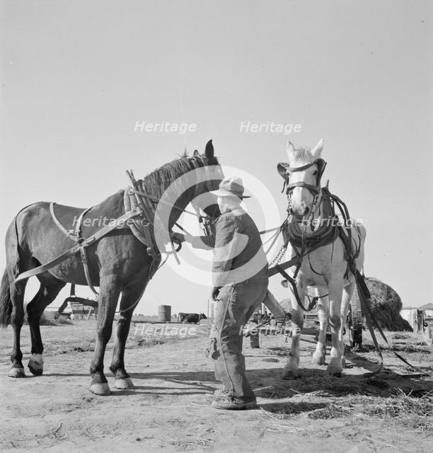 Mr. Browning prepares to go into the field to mow his hay, Dead Ox Flat, Oregon, 1939. Creator: Dorothea Lange.