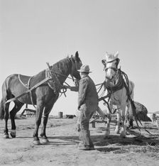 Mr. Browning prepares to go into the field to mow his hay, Dead Ox Flat, Oregon, 1939. Creator: Dorothea Lange