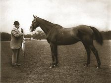 Mr C G Assheton-Smith and Cloister, 1911. Creator: Unknown