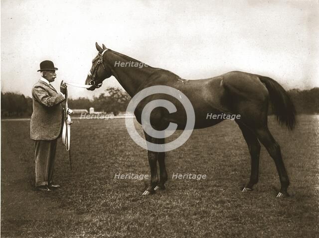 Mr C G Assheton-Smith and Cloister, 1911. Creator: Unknown.