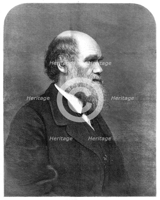 Mr. C. R. Darwin, author of "The Origin of Species'', 1871. Creator: Unknown.