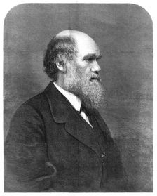 Mr. C. R. Darwin, author of "The Origin of Species' 1871. Creator: Unknown