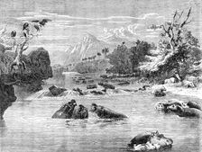 Mr. Gordon Cumming's South African Entertainment - View on the River Limpopo, with a herd of Hippopo Creator: Richard Principal Leitch