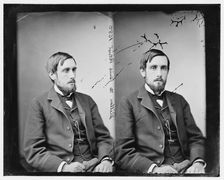 Mr. Dillon (the Irish Patriot), 1865-1880. Creator: Unknown