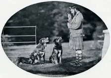 Mr. Francis Clark, The Queen's Gillie, with three of her favourite dogs c1899, (1901). Artist: GW Wilson and Company