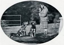 Mr. Francis Clark, The Queen's Gillie, with three of her favourite dogs c1899, (1901). Artist: GW Wilson and Company