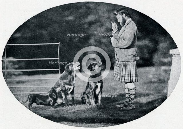 'Mr. Francis Clark, The Queen's Gillie, with three of her favourite dogs', c1899, (1901). Artist: GW Wilson and Company.