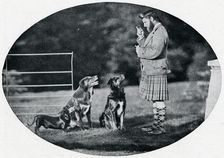 Mr. Francis Clark, The Queen's Gillie, with three of her favourite dogs c1899, (1901). Artist: GW Wilson and Company
