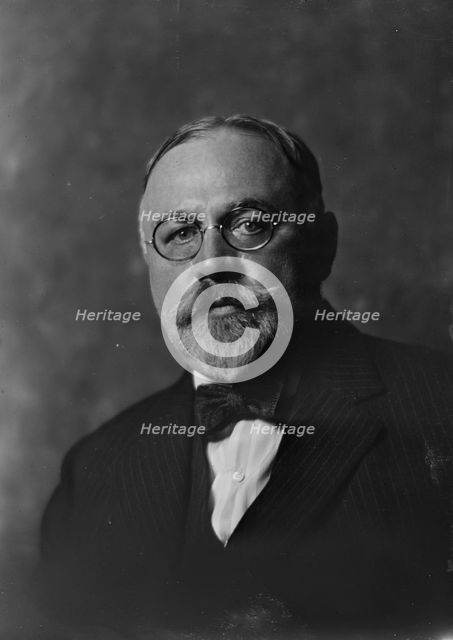 Mr. Fred A. Muschenheim, portrait photograph, 1919 Aug. 12. Creator: Arnold Genthe.