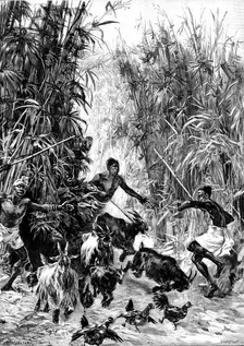 Mr. H. M. Stanley’s Emin Pasha Relief Expedition - foraging for supplies for the Yahbuya Camp, 1890. Creator: H. Werdmüller