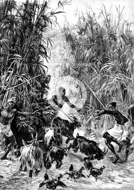 Mr. H. M. Stanley’s Emin Pasha Relief Expedition - foraging for supplies for the Yahbuya Camp, 1890. Creator: H. Werdmüller.