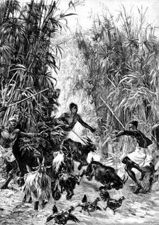 Mr. H. M. Stanley’s Emin Pasha Relief Expedition - foraging for supplies for the Yahbuya Camp, 1890. Creator: H. Werdmüller