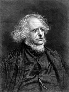 Mr. Henry Cole, C.B, late...Director of the South Kensington Museum, 1873. Creator: Unknown