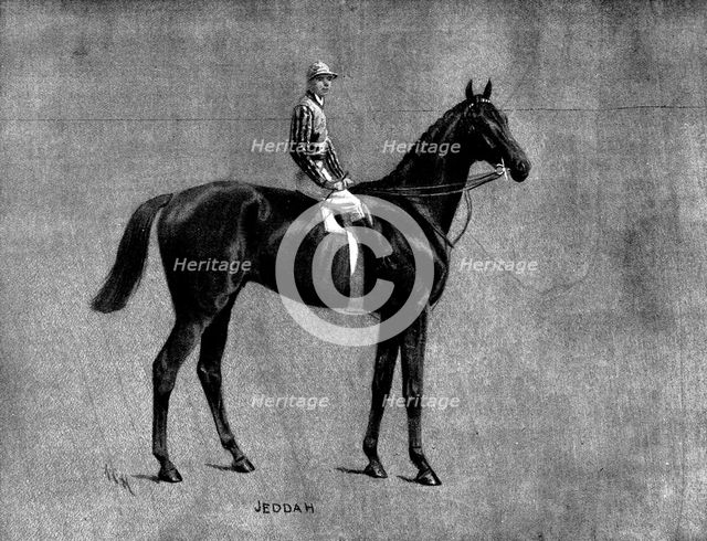 Mr. J. W. Larnach's Jeddah, winner of the Derby, 1898. Creator: Unknown.