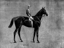 Mr. J. W. Larnach's Jeddah, winner of the Derby, 1898. Creator: Unknown