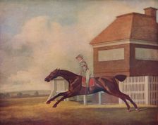 Mr. Ogilvy's Bay Racehorse Trentham at Newmarket with Jockey up 1771. Artist: George Stubbs