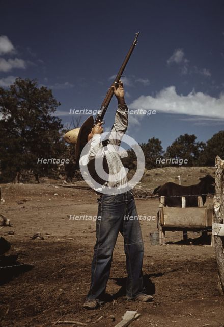 Mr. Leatherman, homesteader, shooting hawks..., Pie Town, New Mexico, 1940. Creator: Russell Lee.