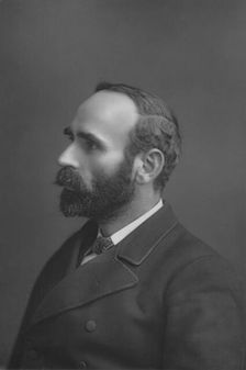 Mr. Michael Davitt c1891. Artist: W&D Downey