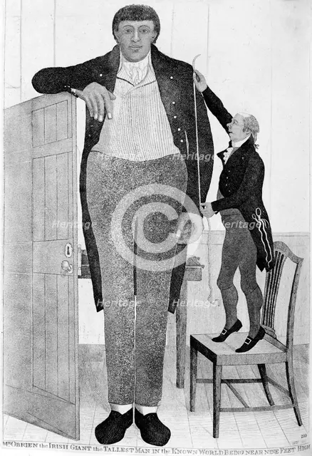 'Mr O'Brien, the Irish Giant, the Tallest Man in the Known World', 1803.  Creator: John Kay.