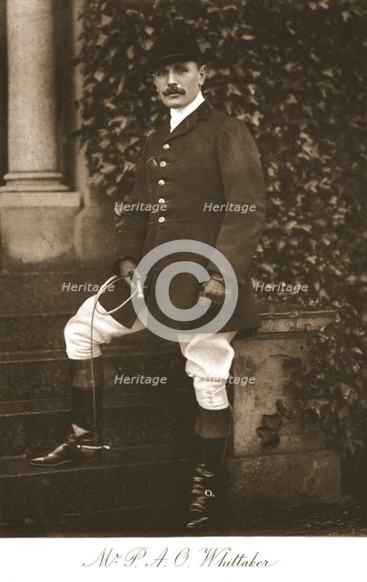 'Mr P.A.O. Whittaker', 1911. Creator: Unknown.