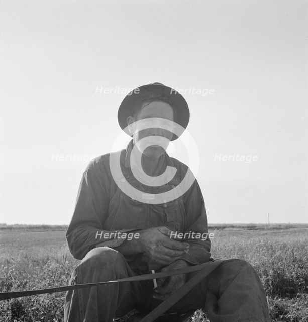 Mr. Roberts, FSA borrower, Owyhee project, Malheur County, Oregon, 1939. Creator: Dorothea Lange.