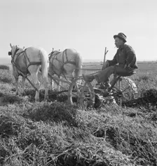 Mr. Roberts, FSA borrower, Owyhee project, Malheur County, Oregon, 1939. Creator: Dorothea Lange