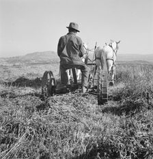 Mr. Roberts, FSA borrower, Owyhee project, Malheur County, Oregon, 1939. Creator: Dorothea Lange