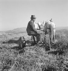 Mr. Roberts, FSA borrower, Owyhee project, Malheur County, Oregon, 1939. Creator: Dorothea Lange