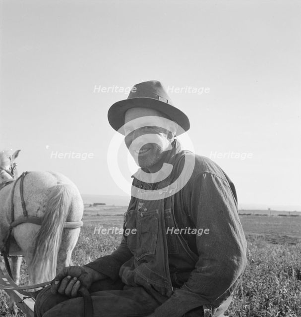 Mr. Roberts saying, "They're on WPA and I'm out here", Malheur County, Oregon, 1939. Creator: Dorothea Lange.