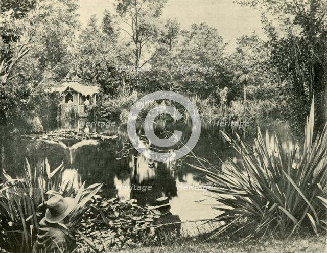 'Mr. Ryan's Gardens, Mount Macedon, Victoria', 1901. Creator: Unknown.