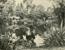 Mr. Ryan's Gardens, Mount Macedon, Victoria 1901. Creator: Unknown