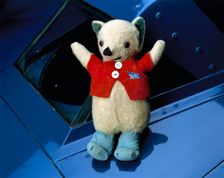 Mr Whoppit, Donald Campbell's mascot