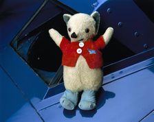 Mr Whoppit, Donald Campbell's mascot