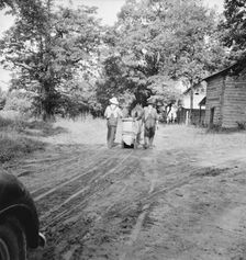 Mr. Taylor and wage laborer slide tobacco..., Granville County, North Carolina, 1939. Creator: Dorothea Lange