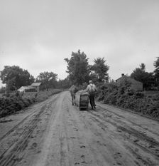 Mr. Taylor and wage laborer slide the tobacco to barn..., Granville County, North Carolina, 1939. Creator: Dorothea Lange