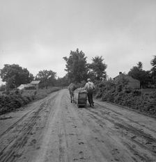 Mr. Taylor and wage laborer slide the tobacco to barn..., Granville County, North Carolina, 1939. Creator: Dorothea Lange