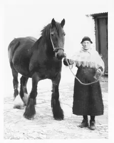 Mrs Mary Williams, Myddfai with Scott the mare, c1970. Creator: Unknown