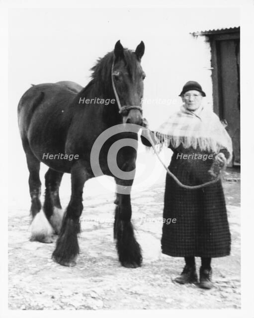 Mrs Mary Williams, Myddfai with 'Scott' the mare, c1970. Creator: Unknown.