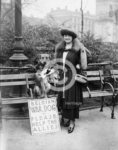 Mrs. N.E. Green & "Caesar", between c1915 and 1918. Creator: Bain News Service.