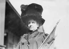 Mrs. Nellie van Slingerland, 1914. Creator: Bain News Service