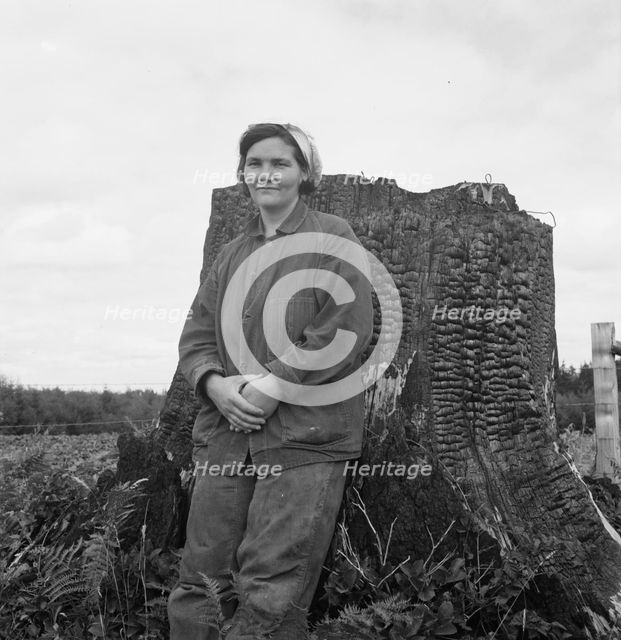 Mrs Arnold, age thirty two, does man's work on the rough..., Michigan Hill, Thurston County, 1939. Creator: Dorothea Lange.
