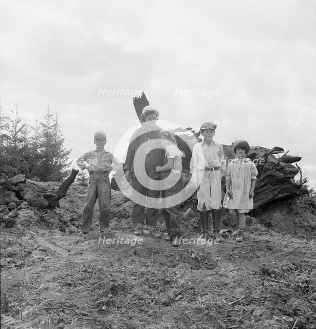 Mrs. Arnold and her children before the stump pile, Michigan Hill, Thurston County, Washington, 1939 Creator: Dorothea Lange.