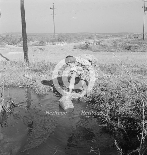 Mrs. Bartheloma dipping water from irrigation ditch..., Nyssa Heights, Malheur County, Oregon, 1939. Creator: Dorothea Lange.