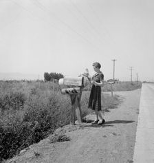 Mrs. Bouchey gets the morning mail, Washington, Yakima Valley, near Toppenish, 1939. Creator: Dorothea Lange