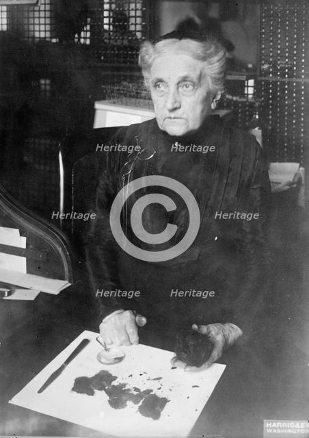 Mrs. Brown of Treasury Department - Identifying Damaged Bills For Redemption, 1913. Creator: Harris & Ewing.